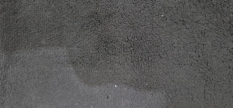 Imagen de Categoria sin imagen